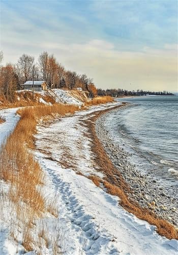 Puzzle 500 Teile Küsten Puzzle Erwachsene Landschaft Klassische HolzPuzzle Erwachsene, DIY Groß Challenging Game Wooden Jigsaw Bastelset ab 14 Jahre für Jungen Mädchen, für Wohnkultur Geschenke U-989 Puzzle 500 Teile Küsten Puzzle Erwachsene Landschaft Klassische HolzPuzzle Erwachsene, DIY Groß Challenging Game Wooden Jigsaw Bastelset ab 14 Jahre für Jungen Mädchen, für Wohnkultur Geschenke U-989 von Jiacgrtef
