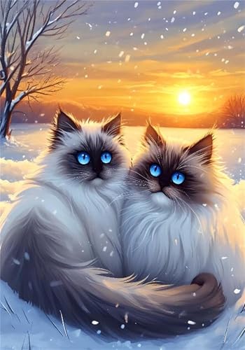 Puzzle 5000 Teile Katze Puzzle Erwachsene Tier Jigsaw Groß XXL 156x105cm DIY Impossible Erwachsene Anspruchsvoll Jigsaw Art, Klassische HolzPuzzle für Wand Zimmer Deko Wohnzimmer Geschenke U-859 Puzzle 5000 Teile Katze Puzzle Erwachsene Tier Jigsaw Groß XXL 156x105cm DIY Impossible Erwachsene Anspruchsvoll Jigsaw Art, Klassische HolzPuzzle für Wand Zimmer Deko Wohnzimmer Geschenke U-859 von Jiacgrtef