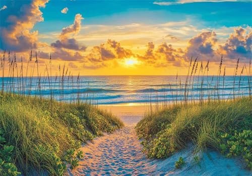 Puzzle 5000 Teile Landschaft Puzzle Erwachsene Strand Jigsaw Groß XXL 156x105cm DIY Impossible Erwachsene Anspruchsvoll Jigsaw Art, Klassische HolzPuzzle für Zimmer Deko Wohnzimmer für Frauen U-491 von Jiacgrtef