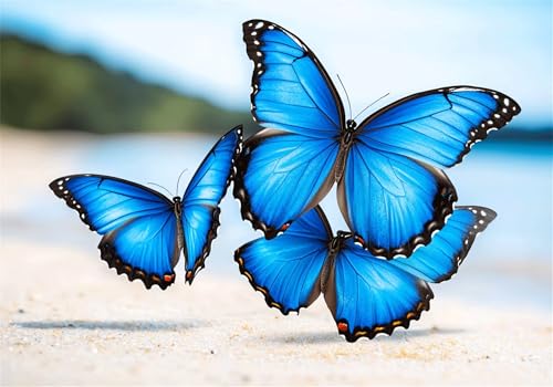 Puzzle Schmetterling Puzzle 200 Teile Strand HolzPuzzle Erwachsene, Premium Quality Klassische Wooden Lernspiel, DIY Klassische Spaß Jigsaw Erwachsene, Challenging Game Jigsaws für Wohnkultur U-839 Puzzle Schmetterling Puzzle 200 Teile Strand HolzPuzzle Erwachsene, Premium Quality Klassische Wooden Lernspiel, DIY Klassische Spaß Jigsaw Erwachsene, Challenging Game Jigsaws für Wohnkultur U-839 von Jiacgrtef