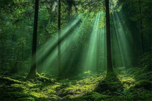 Puzzle Wald Puzzle 80 Teile Landschaft Klassische Jigsaw Premium Holzpuzzle Erwachsene, Holz Lernspiel, Kreative Unterhaltung Spaß Jigsaw ab 2 3 4 5 6 Jahre Jungen, Ideal Als Wandbild Geschenk Z-7 Puzzle Wald Puzzle 80 Teile Landschaft Klassische Jigsaw Premium Holzpuzzle Erwachsene, Holz Lernspiel, Kreative Unterhaltung Spaß Jigsaw ab 2 3 4 5 6 Jahre Jungen, Ideal Als Wandbild Geschenk Z-7 von Jiacgrtef
