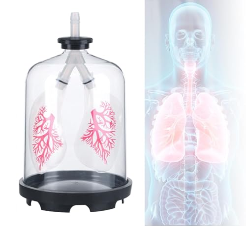 1 Lungenatmungsmodell – Zwerchfellbewegungssimulator for den Biologieunterricht, for Anwendungen im Gesundheitswesen, for Studenten und den Einsatz im Klassenzimmer 1 Lungenatmungsmodell – Zwerchfellbewegungssimulator for den Biologieunterricht, for Anwendungen im Gesundheitswesen, for Studenten und den Einsatz im Klassenzimmer von JigyHa