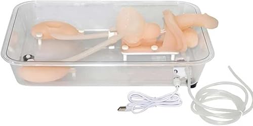 1 realistisches Silikon-Nierenmodell for das Training von Anwendungen im Gesundheitswesen | Ureteroskopie-Simulations-Anatomiemodell for Studenten von JigyHa