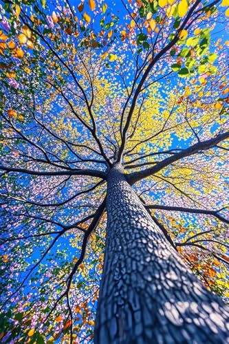 Puzzle 1000 Teile für Erwachsene Himmelsbaum Impossible Game Pädagogisches Spiel Herausforderndes Rätsel 1000 Teile Puzzles 75 x 50 cm Puzzle 1000 Teile für Erwachsene Himmelsbaum Impossible Game Pädagogisches Spiel Herausforderndes Rätsel 1000 Teile Puzzles 75 x 50 cm von Jiian