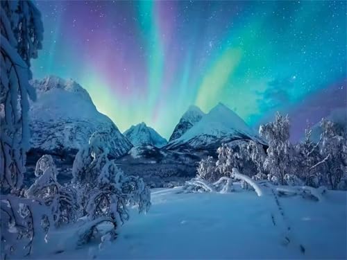 Puzzle 1000 Teile für Erwachsene Winter Aurora Impossible Game Pädagogisches Spiel Herausforderndes Rätsel 1000 Teile Puzzles 75 x 50 cm Puzzle 1000 Teile für Erwachsene Winter Aurora Impossible Game Pädagogisches Spiel Herausforderndes Rätsel 1000 Teile Puzzles 75 x 50 cm von Jiian