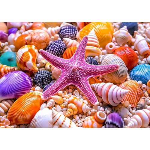 Puzzle 1500 Teile, Muscheln Seesterne Puzzle für Erwachsene 87 x 57 cm Herausforderndes Rätsel Puzzlespiele für Die Ganze Familie Geschenke für Frauen Männer Puzzles 1500 Puzzle 1500 Teile, Muscheln Seesterne Puzzle für Erwachsene 87 x 57 cm Herausforderndes Rätsel Puzzlespiele für Die Ganze Familie Geschenke für Frauen Männer Puzzles 1500 von Jiian