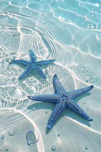 Puzzle 2000 Teile für Erwachsene Strandseestern Impossible Game Pädagogisches Spiel Herausforderndes Rätsel 2000 Teile Puzzles 100 x 70 cm Puzzle 2000 Teile für Erwachsene Strandseestern Impossible Game Pädagogisches Spiel Herausforderndes Rätsel 2000 Teile Puzzles 100 x 70 cm von Jiian