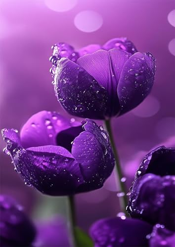Puzzle 500 Teile Erwachsene Lila Tulpe 52 x 38 cm, Pädagogisches Spiel, Kreative Unterhaltung, Spaß, Klassisches Puzzle für Erwachsene Puzzle 500 Puzzle 500 Teile Erwachsene Lila Tulpe 52 x 38 cm, Pädagogisches Spiel, Kreative Unterhaltung, Spaß, Klassisches Puzzle für Erwachsene Puzzle 500 von Jiian
