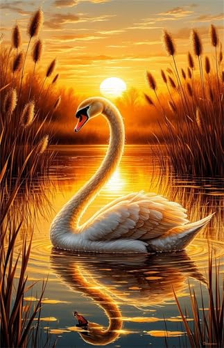 Puzzle 500 Teile Erwachsene Tiere Schwan Sonnenuntergang 52 x 38 cm, Pädagogisches Spiel, Kreative Unterhaltung, Spaß, Klassisches Puzzle für Erwachsene Puzzle 500 Puzzle 500 Teile Erwachsene Tiere Schwan Sonnenuntergang 52 x 38 cm, Pädagogisches Spiel, Kreative Unterhaltung, Spaß, Klassisches Puzzle für Erwachsene Puzzle 500 von Jiian