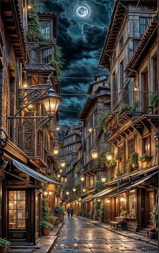 Puzzle 520 Teile für Erwachsene Mondstadtstraße Impossible Game Pädagogisches Spiel Herausforderndes Rätsel 520 Teile Puzzles 52 x 38 cm von Jiian