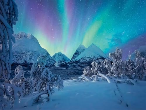 Puzzles für Erwachsene 1000 Teile Winter Aurora 75 x 50 cm Puzzle Erwachsene Klassische Puzzles Pädagogisches Spiel Impossible Herausforderung 1000 Teile Puzzle von Jiian