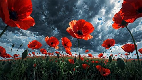 Puzzles für Erwachsene 1314 Teile Rote Mohnblumen 75 x 50 cm Puzzle Erwachsene Klassische Puzzles Pädagogisches Spiel Impossible Herausforderung 1314 Teile Puzzle von Jiian