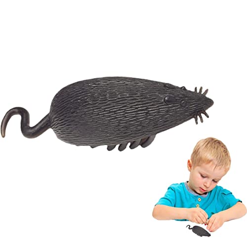 Jildouf Spielzeug für Kakerlake, batteriebetriebene Spinne und Kakerlakenspielzeug, vibrierende Maus für Katzen mit lustiger und lehrreicher Vibration für Kinder Jildouf Spielzeug für Kakerlake, batteriebetriebene Spinne und Kakerlakenspielzeug, vibrierende Maus für Katzen mit lustiger und lehrreicher Vibration für Kinder von Jildouf