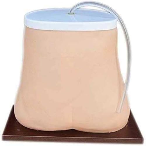 1 lebensechte menschliche Abdominalpuppe for Peritonealdialyse-Training – Fistelsimulator for die Ausbildung im Gesundheitswesen 1 lebensechte menschliche Abdominalpuppe for Peritonealdialyse-Training – Fistelsimulator for die Ausbildung im Gesundheitswesen von JingJiangBo