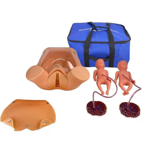 1 umfassendes Geburtssimulatormodell mit 2 Föten, 2 Plazenten und Tragetasche – ideal for die Hebammenausbildung und -erziehung 1 umfassendes Geburtssimulatormodell mit 2 Föten, 2 Plazenten und Tragetasche – ideal for die Hebammenausbildung und -erziehung von JingJiangBo