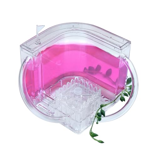 Ameisenbeobachtung Kinder, 3D Ameisenfarm Ameisennest aus Transparentem Gel mit Verbindungsrohren, Acryl Ameisennest Ameisen Lebensraum Beobachtungsset, Lernspielzeug für Kinder Ameisenbeobachtung Kinder, 3D Ameisenfarm Ameisennest aus Transparentem Gel mit Verbindungsrohren, Acryl Ameisennest Ameisen Lebensraum Beobachtungsset, Lernspielzeug für Kinder von Jingyash