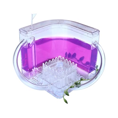 Ameisenbeobachtung Kinder, 3D Ameisenfarm Ameisennest aus Transparentem Gel mit Verbindungsrohren, Acryl Ameisennest Ameisen Lebensraum Beobachtungsset, Lernspielzeug für Kinder Ameisenbeobachtung Kinder, 3D Ameisenfarm Ameisennest aus Transparentem Gel mit Verbindungsrohren, Acryl Ameisennest Ameisen Lebensraum Beobachtungsset, Lernspielzeug für Kinder von Jingyash