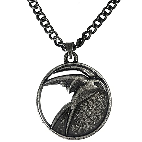 Jinx Zubehör Netflix: The Witcher Ciri Medallion Necklace, Mehrfarbig von JINX
