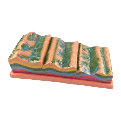 Geologisches Klappmodell Klassenzimmer-Hilfe - Faltstruktur & geomorphes Demonstrationswerkzeug, 45 cm PP-Material Pädagogische Requisite für Geographieunterricht Geologisches Klappmodell Klassenzimmer-Hilfe - Faltstruktur & geomorphes Demonstrationswerkzeug, 45 cm PP-Material Pädagogische Requisite für Geographieunterricht von Jojomis