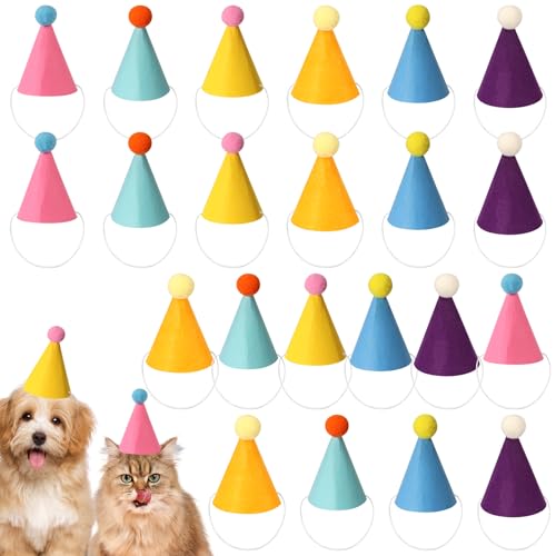 Jokapy 24 PCs Mini Party Hut für Stofftiere mit Pompom und elastisches Seil für Puppenkatze Kaninchen Welpen verschiedene Tiergeburtstagdekorationen(Mehrfarbig) von Jokapy