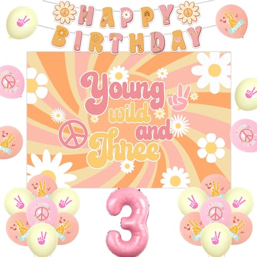 Jollyboom Groovy 3 Geburtstag Dekorationen für Mädchen, Junge Wilde und Drei Geburtstag Hintergrund Retro Hippie Boho Happy Birthday Banner Daisy Flower Power Rosa 3 Folienballons für Dritte Jollyboom Groovy 3 Geburtstag Dekorationen für Mädchen, Junge Wilde und Drei Geburtstag Hintergrund Retro Hippie Boho Happy Birthday Banner Daisy Flower Power Rosa 3 Folienballons für Dritte von Jollyboom