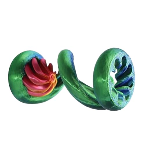 3D Fidget Spielzeug,Durchgangsskulptur - Faden-Illusionsspielzeug Für Kinder, Erwachsene, Schule, Zuhause & Büro von Jongyumo
