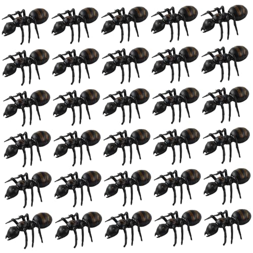 Plastikameisen 30pcs realistische Ameisen schwarzer Streich Spielzeug für Halloween Party bevorzugt Dekoration Requisiten 30pcs Halloween Aprilscherz Simulation Big Ant Unique Small Toy Animal Insec Plastikameisen 30pcs realistische Ameisen schwarzer Streich Spielzeug für Halloween Party bevorzugt Dekoration Requisiten 30pcs Halloween Aprilscherz Simulation Big Ant Unique Small Toy Animal Insec von Jorzer