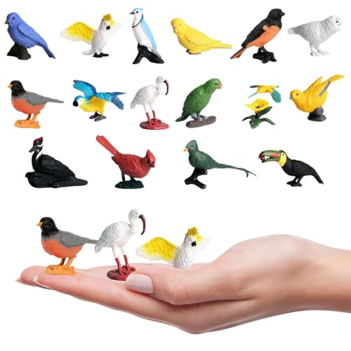 Realistische Vogelfiguren, 16pcs Plastik Vogelspielzeug pädagogischer Papageienspielzeug Fairy Garden Accessoires für Dollhouse Geburtstagstorte Geschenk Figuren, für Kinder, Spielzeugvögel für Kind Realistische Vogelfiguren, 16pcs Plastik Vogelspielzeug pädagogischer Papageienspielzeug Fairy Garden Accessoires für Dollhouse Geburtstagstorte Geschenk Figuren, für Kinder, Spielzeugvögel für Kind von Jorzer