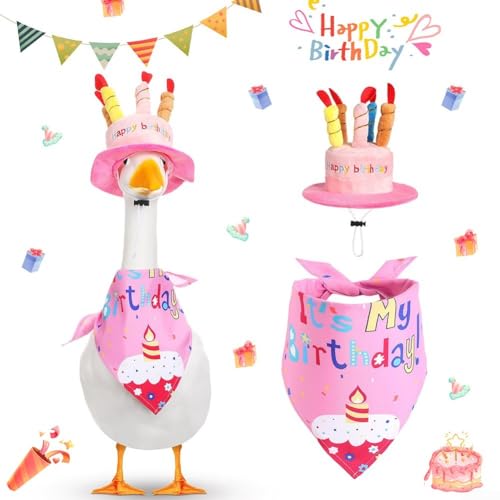 Jotekonoby Geburtstags-Veranda-Gans-Outfit für Zement, Rasen, Gans, Kostüm, Outdoor, Garten, Rasen (Rosa) von Jotekonoby