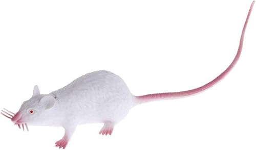 Weiße gefälschte Maus Streich Trick Tools, Maus lebensechte Gummi Gag und praktische Scherzwerkzeuge Weiße gefälschte Maus Streich Trick Tools, Maus lebensechte Gummi Gag und praktische Scherzwerkzeuge von Jowxsx