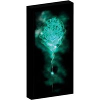 Harry Potter Canvas mit 6 LED Lichtern von Joy Toy AG/SPA