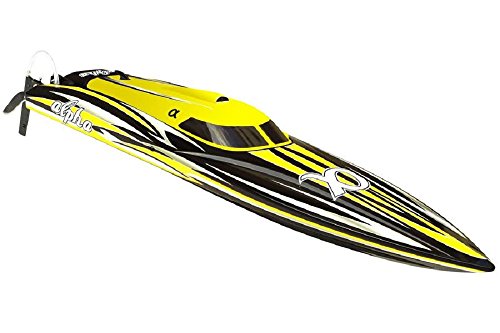 Joysway Alpha 1000 - Brushless Boot - Wasserbeständig - Fernbedienung - Hochwertige Verarbeitung - Für Jugendliche und Erwachsene - Unisex - Meer-Thema Joysway Alpha 1000 - Brushless Boot - Wasserbeständig - Fernbedienung - Hochwertige Verarbeitung - Für Jugendliche und Erwachsene - Unisex - Meer-Thema von Joysway