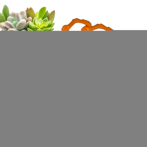 Jubilofex 3D-gedrucktes Spinnen-Fidget, 3D-gedruckte Gelenkspinne,3D-gedruckte Spinnenspielzeuge mit beweglichen Gelenken | Stressabbau-Schreibtischspielzeug für Erwachsene, Zappelspielzeug, von Jubilofex