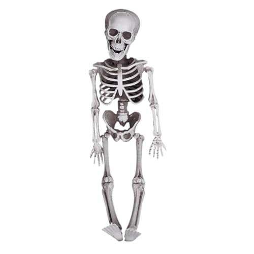 Skelettfiguren – Lernknochen, gruseliges Zubehör möglich | Mini-Modell, realistisches Skelett, gruselig, bewegliche Spukfigur für Schule, Partytisch, Heimdekoration, Con Skelettfiguren – Lernknochen, gruseliges Zubehör möglich | Mini-Modell, realistisches Skelett, gruselig, bewegliche Spukfigur für Schule, Partytisch, Heimdekoration, Con von Jubilofex