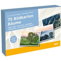 75 Bildkarten Bäume von Julius Beltz GmbH & Co. KG