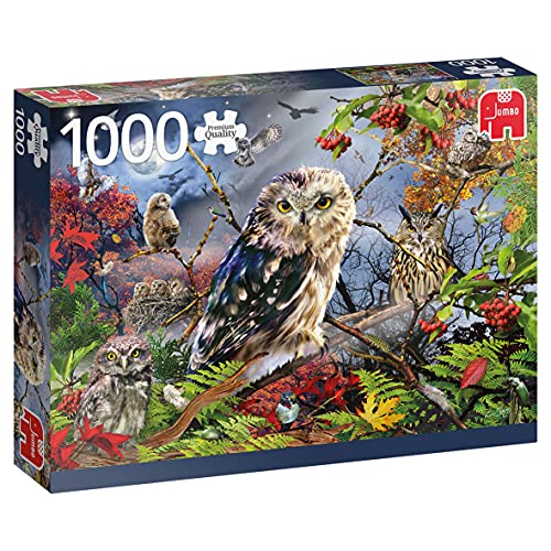 18859 Eulen im Mondschein-1000 Teile Owl Zubehör, Mehrfarben von Jumbo