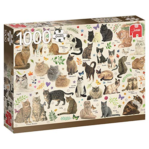 Jumbo Spiele 18595 Katzen Poster - 1000 Teile Puzzle von Jumbo