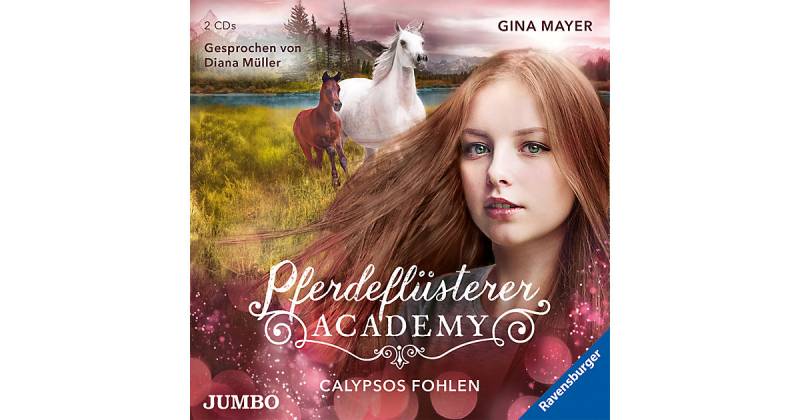 Pferdeflüsterer-Academy - Calypsos Fohlen, 2 Audio-CD Hörbuch von JUMBO Verlag
