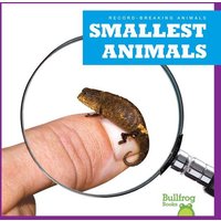 Smallest Animals von Jump!, Inc.
