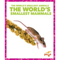 The World's Smallest Mammals von Jump!, Inc.