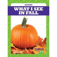 What I See in Fall von Jump!, Inc.