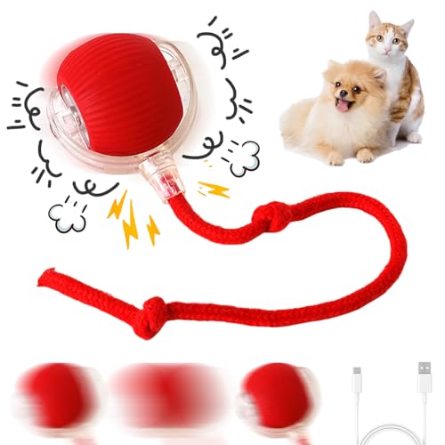 Junerain Interaktives Katzenball Katzenspielzeug, Elektrischer Katzenspielzeug 360° Rolling Ball USB Aufladbar, 3 Modi Intelligentes Katzenspielzeug, Interaktiver Spielball for Katzen Hunde Junerain Interaktives Katzenball Katzenspielzeug, Elektrischer Katzenspielzeug 360° Rolling Ball USB Aufladbar, 3 Modi Intelligentes Katzenspielzeug, Interaktiver Spielball for Katzen Hunde von Junerain