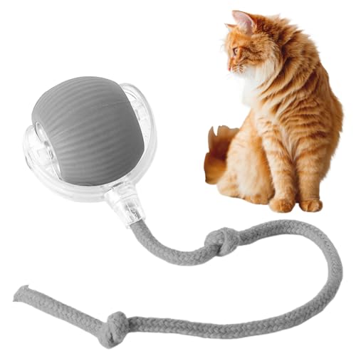 Junerain interaktives Hundespielzeug, Rolling Ball Chewie, Grau, 1 stück, Kunststoff + Silikon, 65.00 mm x 56.00 mm, USB-Aufladbar, Hindernisvermeidung, für Hunde und Katzen von Junerain