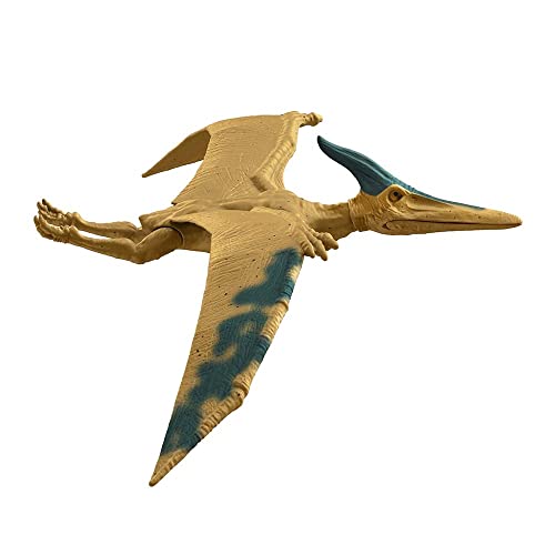 Jurassic World, Pteranodon Figur 30,5 cm (12 Zoll), Spielzeug für Kinder ab 3 Jahren mit authentischen und realistischen Details von Jurassic World