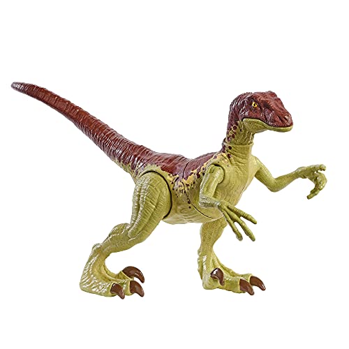 Jurassic World GWN32 - Dino-Angriff Velociraptor Camp Kreidezeit Dinosaurier-Actionfigur mit beweglichen Gelenken, Dinosaurier Spielzeug ab 4 Jahren von Jurassic World