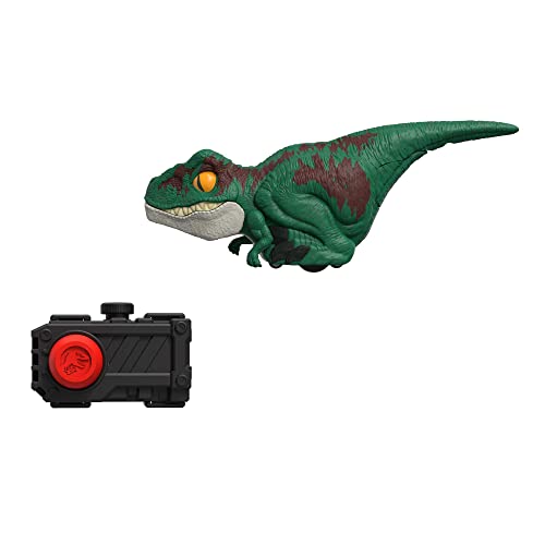 Jurassic World GYN41 - „Ein neues Zeitalter“ Velociraptor-Dinosaurier, grün, stilisierte Figur, interaktive Bewegungen und Geräusche, Clicker-Steuerung, Dinosaurier Spielzeug für Kinder ab 4 Jahren von Jurassic World
