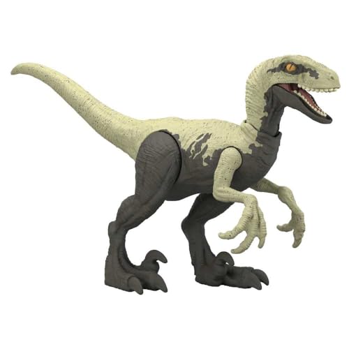 Jurassic World Gefährlicher Velociraptor Dinosaurier mit beweglichen Gelenken für Kinder ab 4 Jahren von Jurassic World