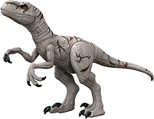 Jurassic World HFR09 - "Dominion: Ein neues Zeitalter" Riesendino Atrociraptor Actionfigur, extragroßes, bewegliche Gelenke und Fressfunktion, Dinosaurier Spielzeug ab 4 Jahren von Mattel