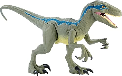 Jurassic World Riesendino Velociraptor Blue, 45 cm hoch, 106 cm lang, mit realistischer Optik, beweglichen Armen und Beinen, kann bis zu 20 Mini-Actionfiguren verschlingen, GCT93 von Mattel