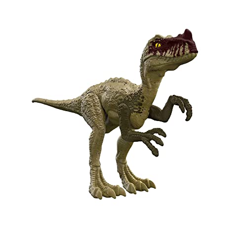 Jurassic World Proceratosaurus Dinosaurier 30,5 cm (12 Zoll), realistisches Design und Dekoration, für Kinder ab 4 Jahren von Jurassic World